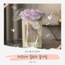 다발로 | 부모님 선물 고민 끝났어요 해모수아 플로라 꿀다발 후기
