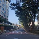 흙담