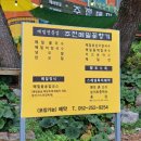 주전토종백숙