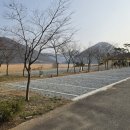 돌산캠핑장 이미지