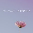 메이즈유통