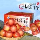 얼음골유통