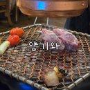 토리아에즈양재 | 양재 양고기 맛집 양기와 양재점