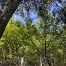 죽백면옥 이미지