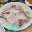 금호해천가 | 사수동 금호해천가 횟집 회 맛집
