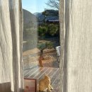 블랙티하우스