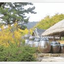 고향의봄 이미지