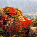 교대역 13번출구 뒤 1 이미지