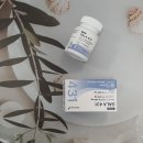 황금 | 황금구렁이 후기 내돈내산임!