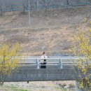 예곡마을회관 이미지