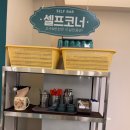 야탑동 양현로 | [경기 성남] 야탑역 점심 맛집 서울3대쌀국수 추천 화화돈 야탑역점 내돈내산후기