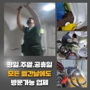 다이소김포