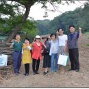 옛날토종닭 이미지