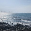 제주 애월 해지개 카페｜한담해변 오션뷰, 한옥 감성 카페 추천