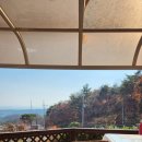 그린공인중개사 이미지