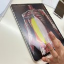 신림여성전용사우나 | [봉천동PT] PT 꼭 받아야할까? 비비핏 퍼스널트레이닝 전문점 신림 여성전용 헬스장 PT후기.