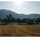 돌산초대신분교장 이미지