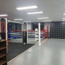 불스복싱 이미지