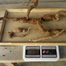 주식회사 온오늘 이미지