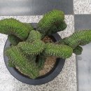 (주)대능 네이버블로그