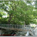 방음리경로당 이미지