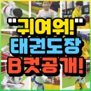 멋짐태권도장 | 가능초태권도 흥선동태권도 배영초태권도 중앙초태권도 의정부동태권도 경기태권도장 천사들의 B컷공개!