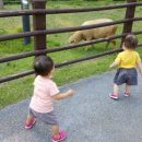 윤주목장 이미지