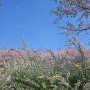 어린이공원 32호 이미지