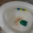 수원-0864 이미지