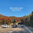 채선당부천 이미지