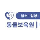 동물보육원 천안지부 네이버블로그