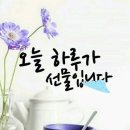 오늘보다더좋은 Daum카페
