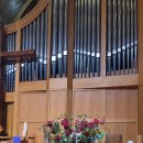 원주제일 이미지