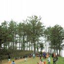 임실치즈마을 이미지