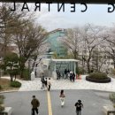 일상약국 이미지