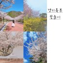 회룡역 자전거주차장 | 봄바람 살랑이는 경기도 북부 꽃구경 장소 BEST6
