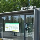 버스정류소_영일고등학교.강서도서관 | 서울식물원, 서울식물원 가는 법, 입장료, 주차료 및 주차안내, 운영 시간, 종합 안내도 및 안내지도