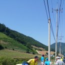 용연공원(도로변) 이미지