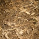 시산농장 이미지