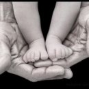 The Father 이미지