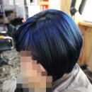 비오미장