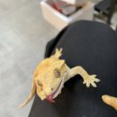 수원-0963 이미지