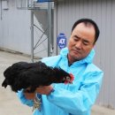 성진부화장 이미지