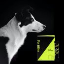 펫바이블 이미지