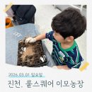 지한팜 | 진천 딸기체험 뤁스퀘어 이모농장 │ 아이랑 농장 체험 후기