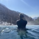 다붕인테리어 | 숲속 뷰 스파 맛집 제천 리솜포레스트 해브나인 스파( 지지고오기 좋음)