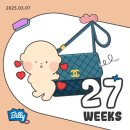 리인제주 | 25주~27주 / 처음 본 순간 나는 빠져버렸어💕 [제주신라 태교여행, 입체초음파, 임당검사, D-100]