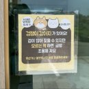 1661 | 여수 웅천 미용실 “에비뉴1661 웅천점” 남성 드롭컷 다운펌하고 온 후기 추천!