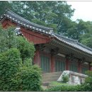 순천-56호 이미지