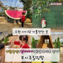 꼬꼬팜농장 | [ 수원 아이와 가볼만한곳 ] 포시즌힐링팜 24개월 아이와 함께 한 체험농장 생생 후기!